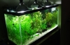 Какие лампы используются для освещения аквариумов?
